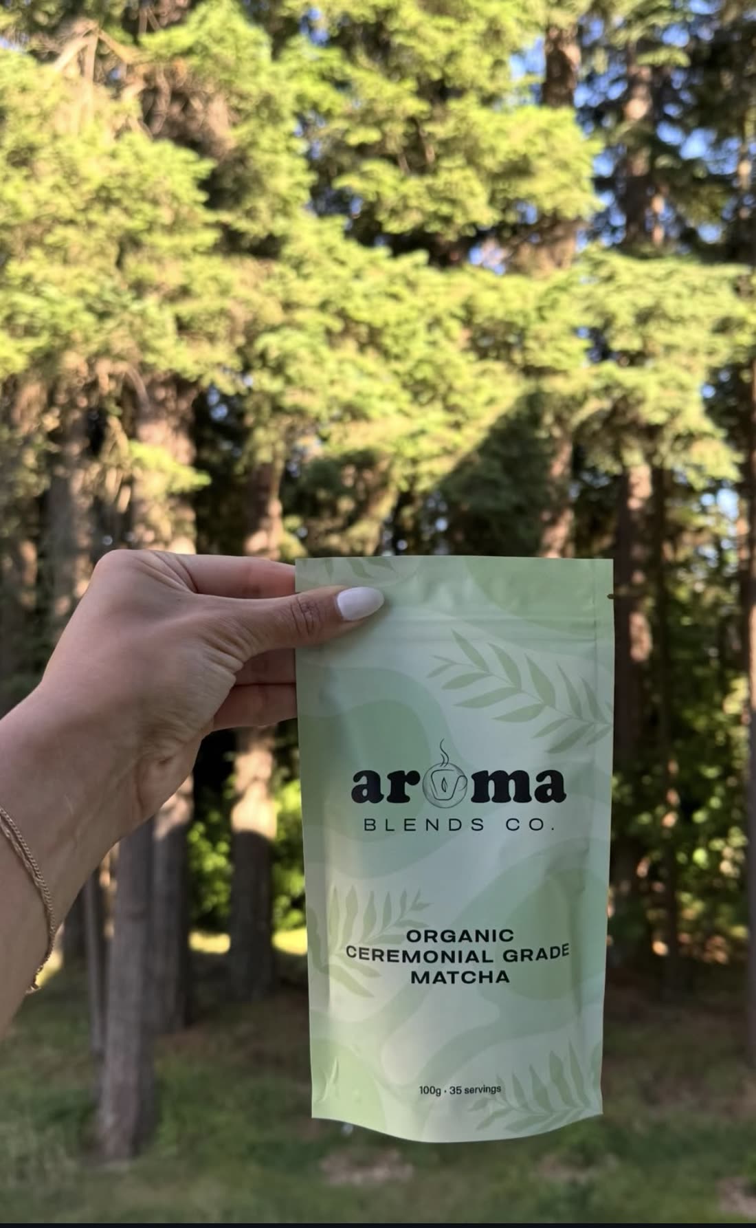 Hand holding a pouch of Aroma Blends organic ceremonial grade matcha against BC evergreen trees